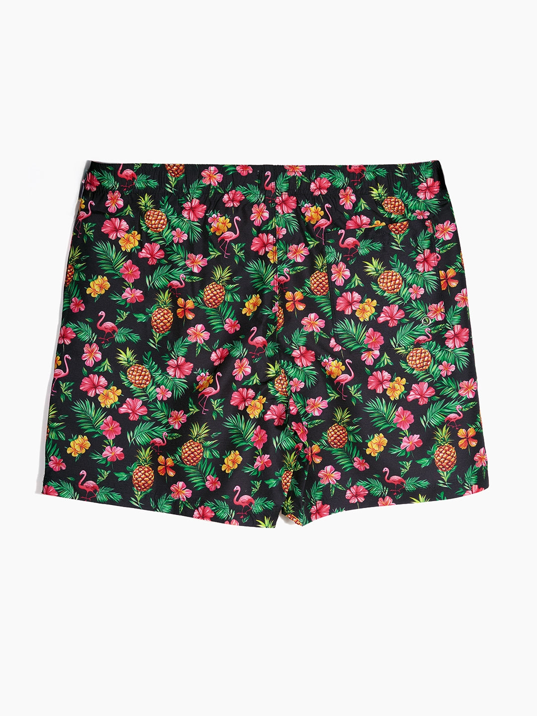 Men's Swim Shorts - Tropical Paradise