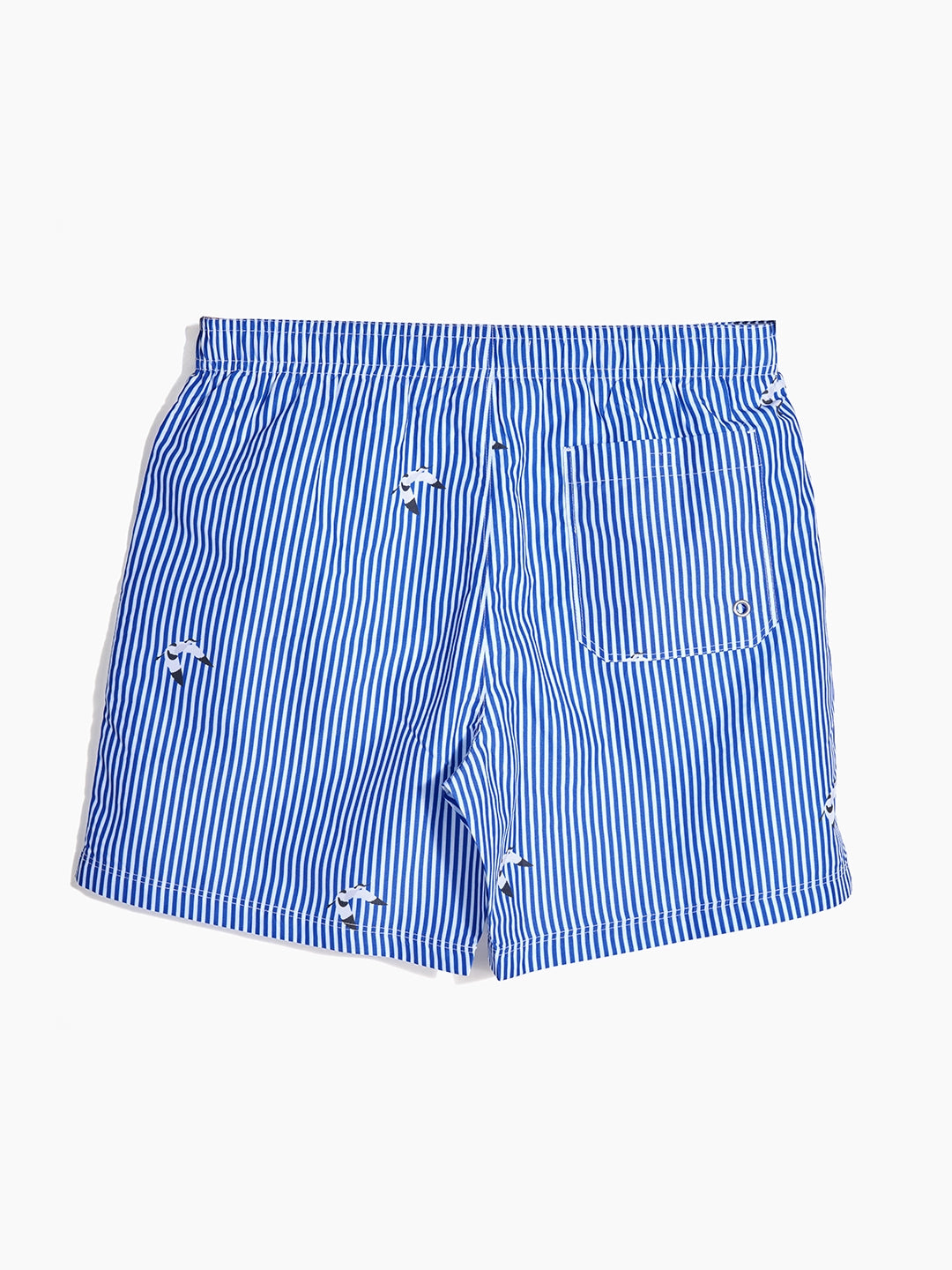 Men's Swim Shorts - Scooper Blue Stripes