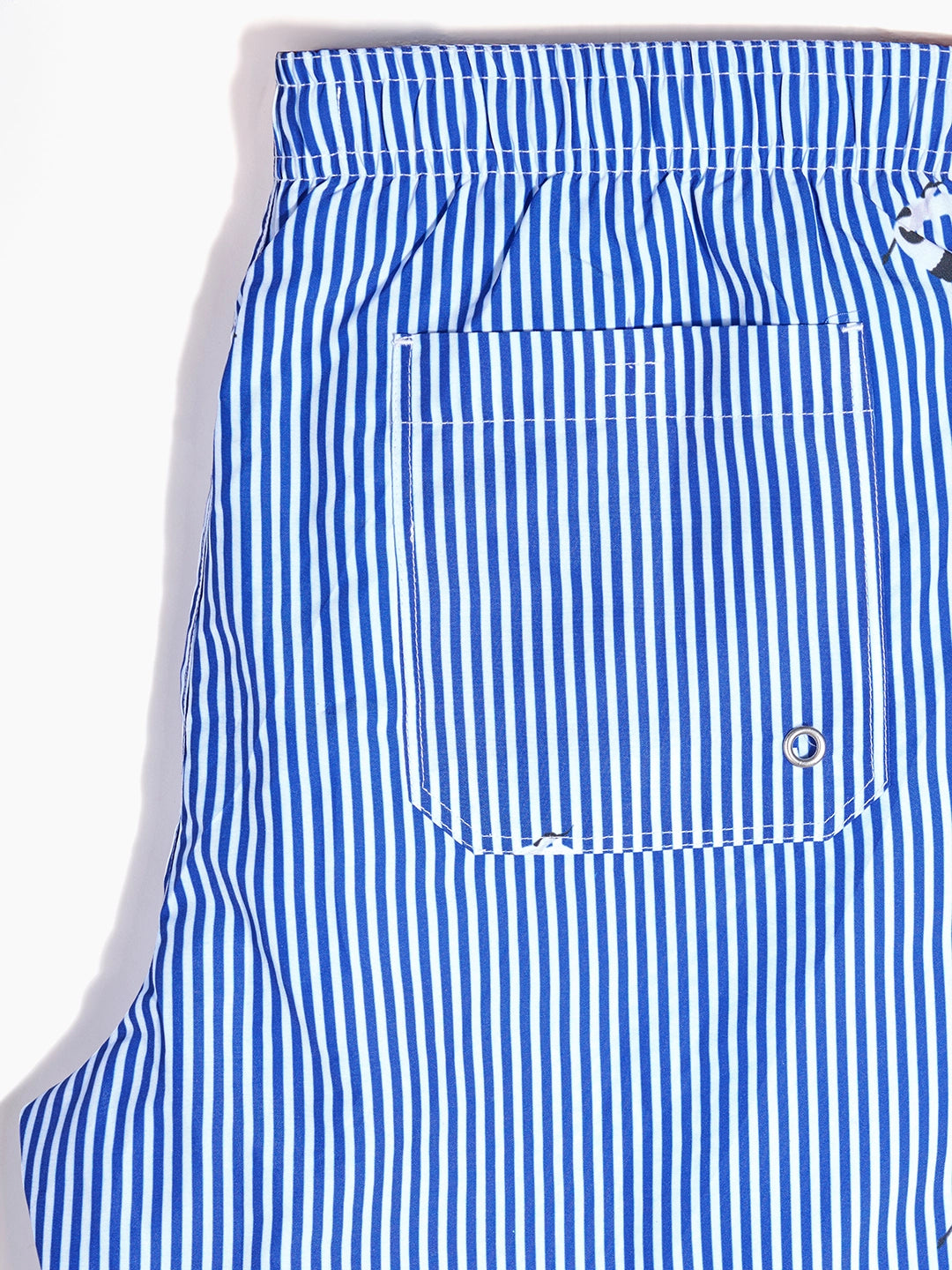 Men's Swim Shorts - Scooper Blue Stripes