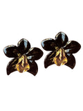 Black Orchid
