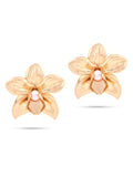 Gold Orchid