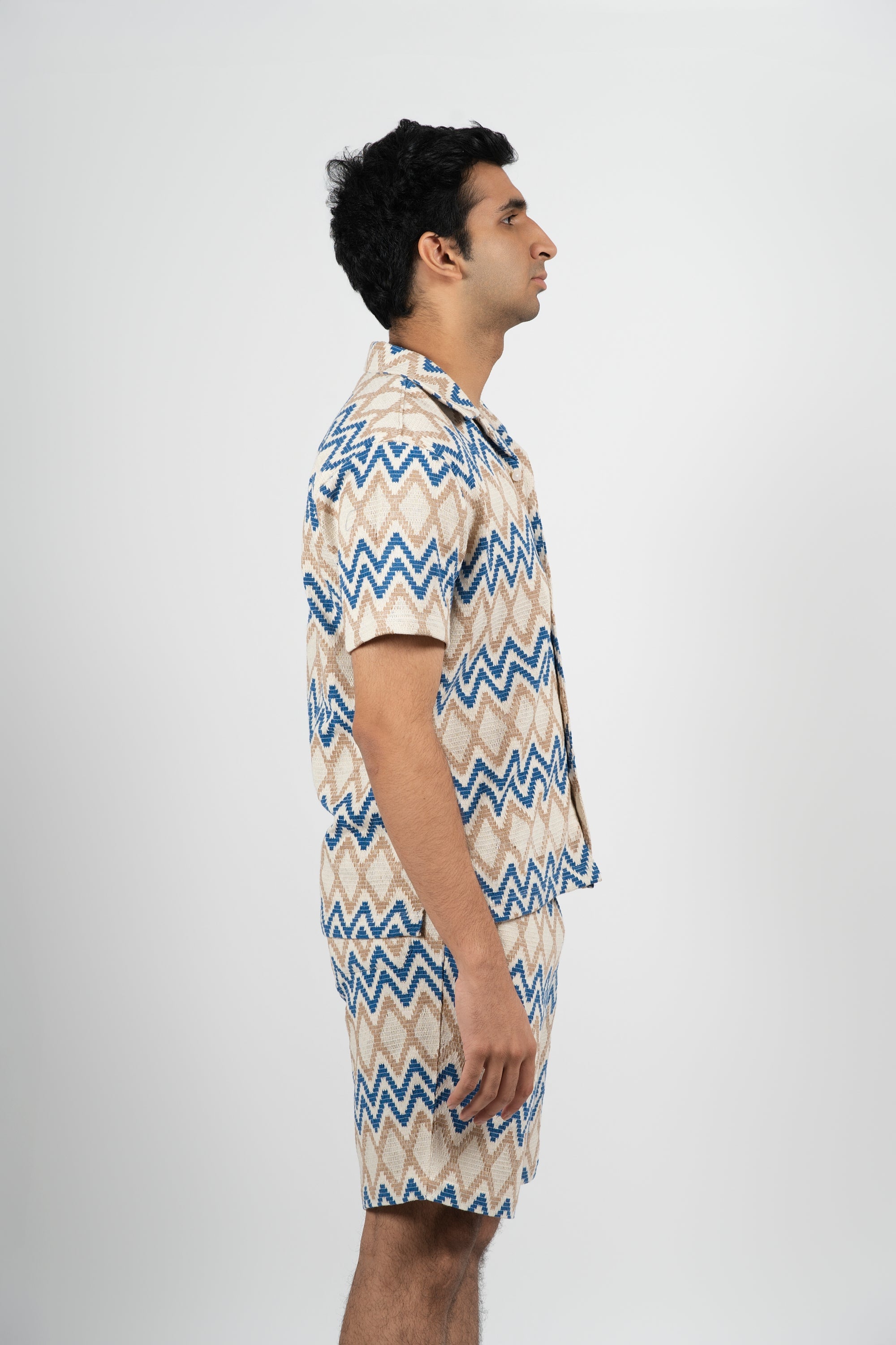 The Vintage Voltage Shirt