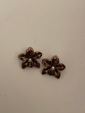 Mini Orchids Bronze