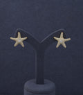 Starfish Earrings
