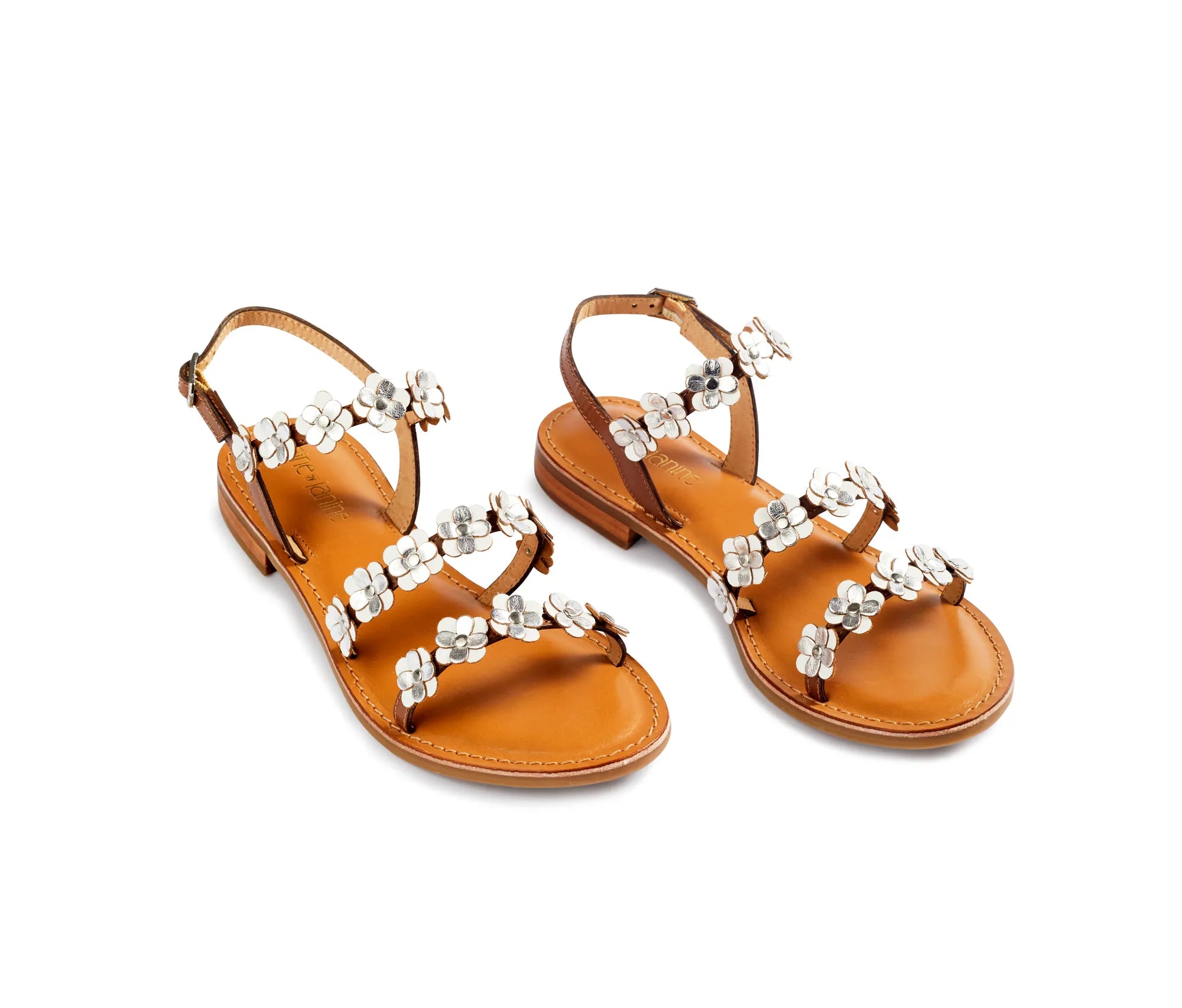 CALYTRIX - Silver,White ,Tan