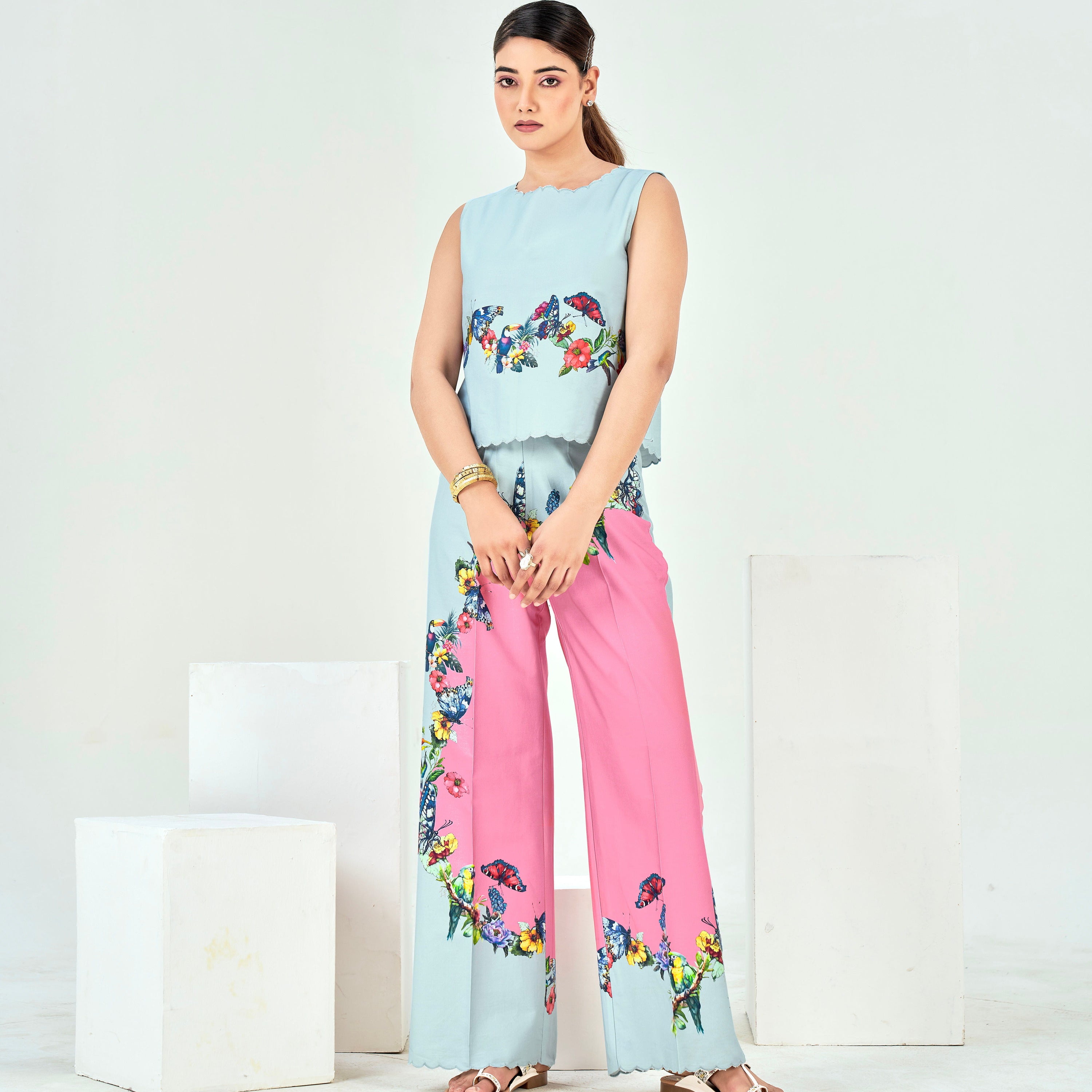 The Biome Boundary Co-ord Set
