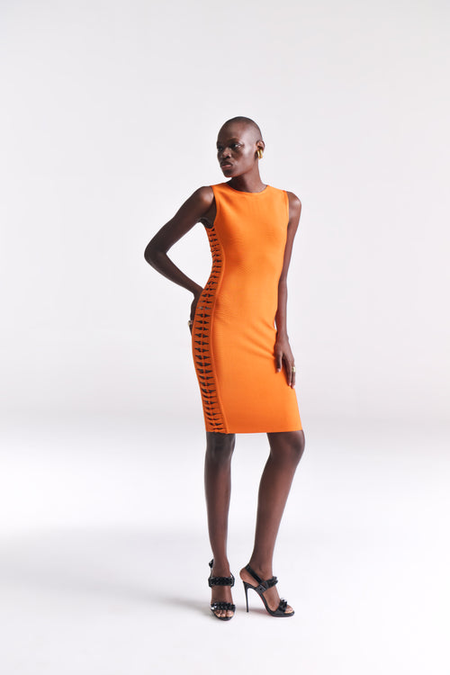 Bodycon Dress with Cutout Bow Detailing along the Sides