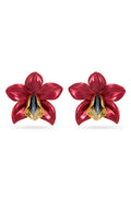 Red Orchid